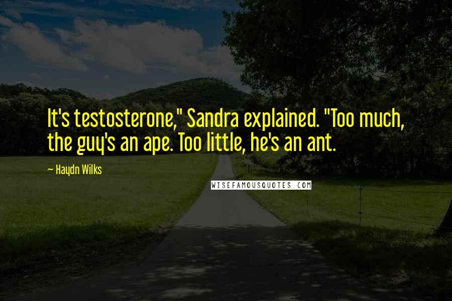 Haydn Wilks Quotes: It's testosterone," Sandra explained. "Too much, the guy's an ape. Too little, he's an ant.