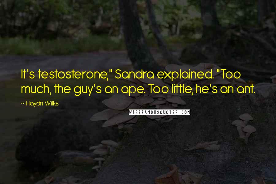 Haydn Wilks Quotes: It's testosterone," Sandra explained. "Too much, the guy's an ape. Too little, he's an ant.