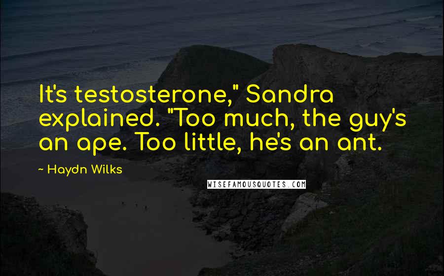 Haydn Wilks Quotes: It's testosterone," Sandra explained. "Too much, the guy's an ape. Too little, he's an ant.