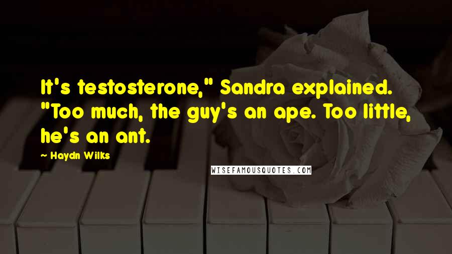 Haydn Wilks Quotes: It's testosterone," Sandra explained. "Too much, the guy's an ape. Too little, he's an ant.