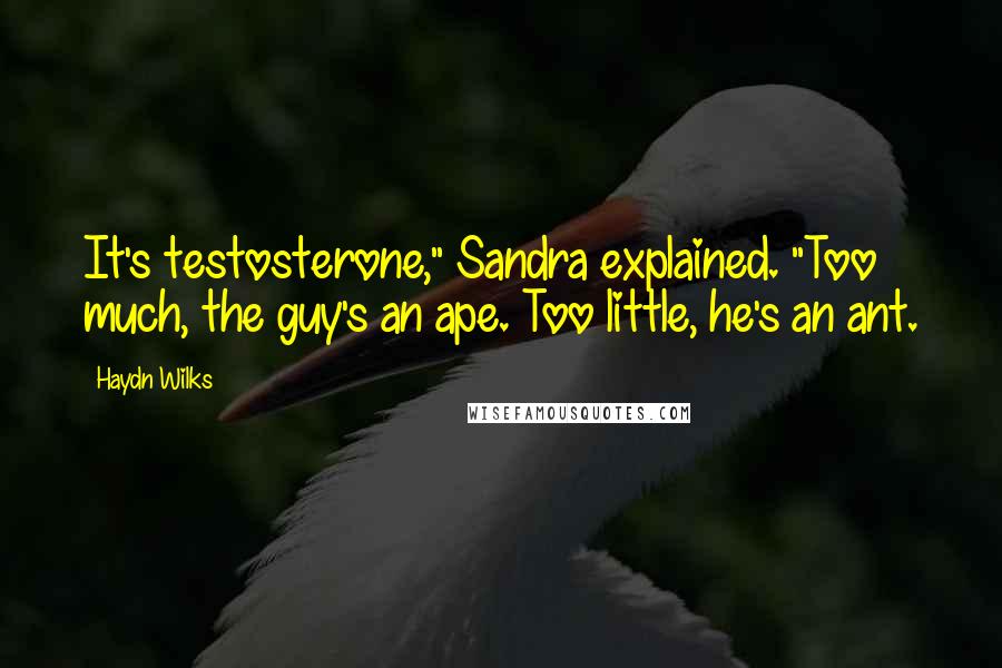 Haydn Wilks Quotes: It's testosterone," Sandra explained. "Too much, the guy's an ape. Too little, he's an ant.