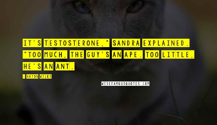 Haydn Wilks Quotes: It's testosterone," Sandra explained. "Too much, the guy's an ape. Too little, he's an ant.