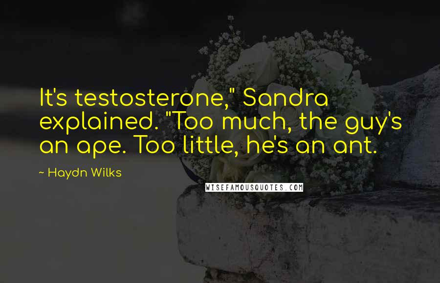 Haydn Wilks Quotes: It's testosterone," Sandra explained. "Too much, the guy's an ape. Too little, he's an ant.