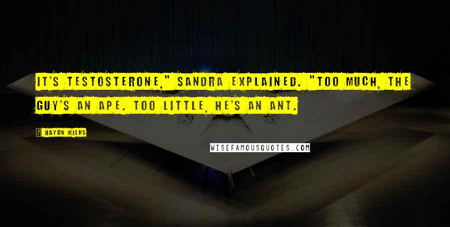 Haydn Wilks Quotes: It's testosterone," Sandra explained. "Too much, the guy's an ape. Too little, he's an ant.