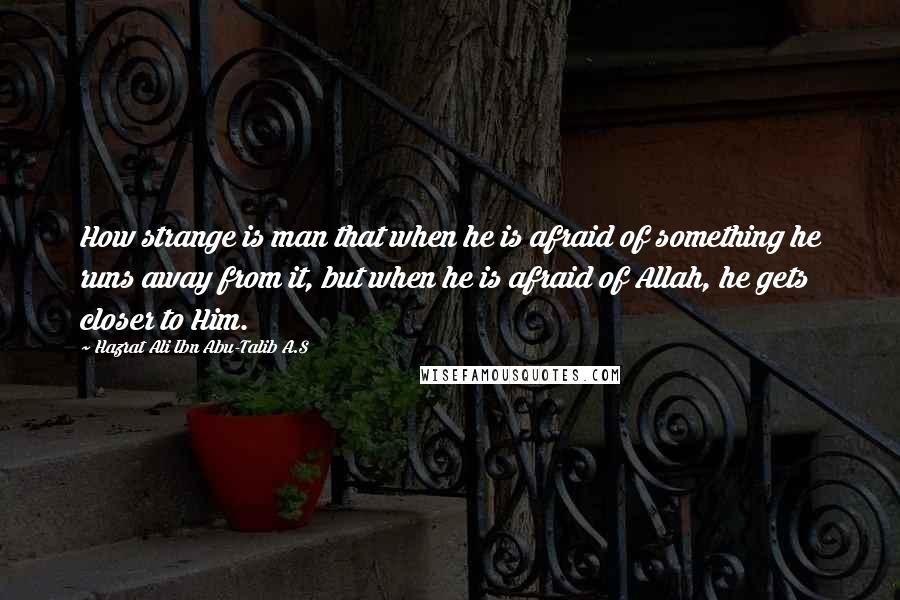 Hazrat Ali Ibn Abu-Talib A.S Quotes: How strange is man that when he is afraid of something he runs away from it, but when he is afraid of Allah, he gets closer to Him.