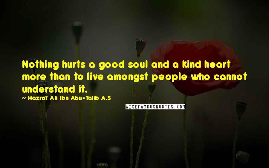 Hazrat Ali Ibn Abu-Talib A.S Quotes: Nothing hurts a good soul and a kind heart more than to live amongst people who cannot understand it.