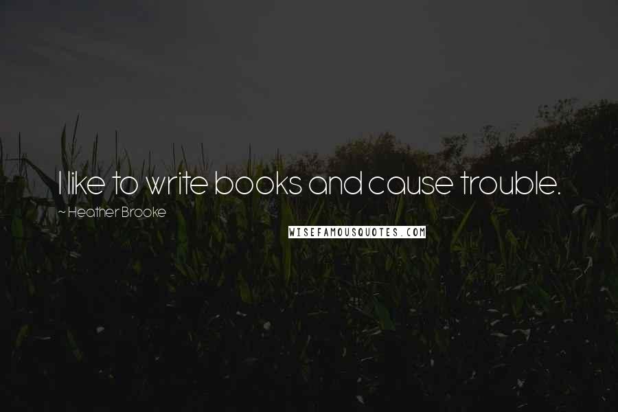 Heather Brooke Quotes: I like to write books and cause trouble.