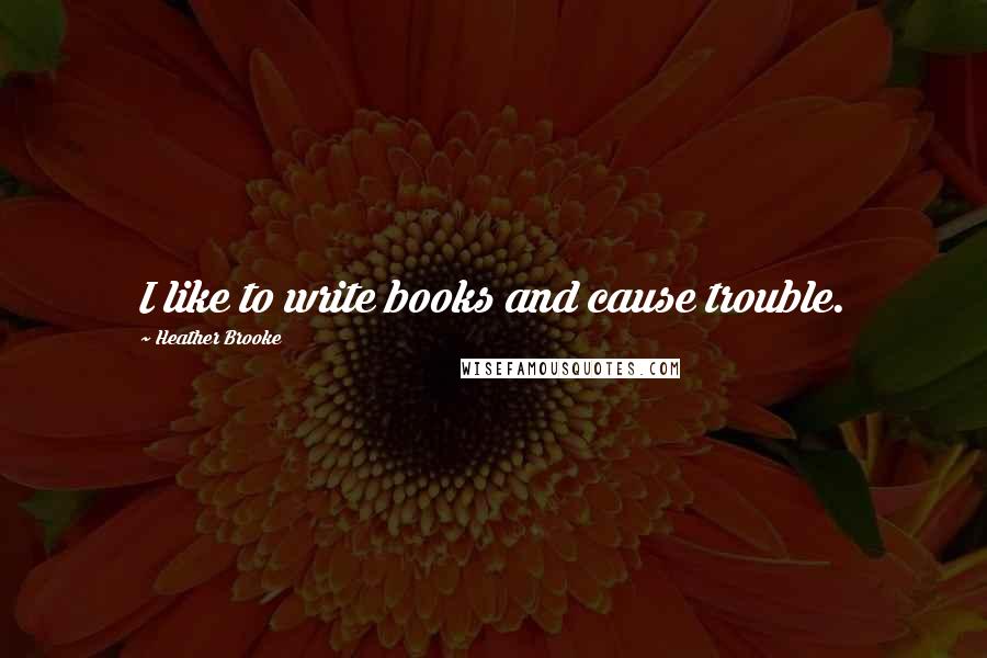 Heather Brooke Quotes: I like to write books and cause trouble.