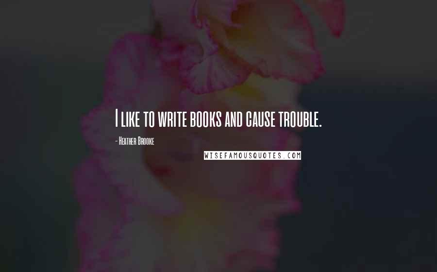 Heather Brooke Quotes: I like to write books and cause trouble.