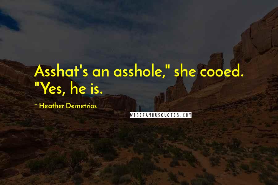 Heather Demetrios Quotes: Asshat's an asshole," she cooed. "Yes, he is.