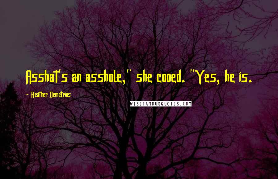 Heather Demetrios Quotes: Asshat's an asshole," she cooed. "Yes, he is.