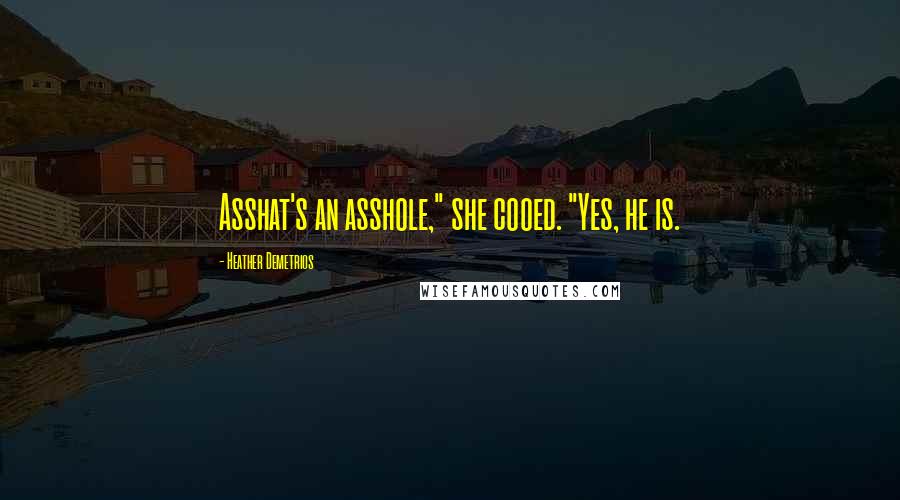 Heather Demetrios Quotes: Asshat's an asshole," she cooed. "Yes, he is.