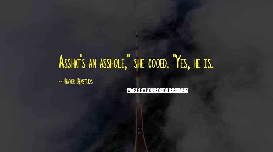 Heather Demetrios Quotes: Asshat's an asshole," she cooed. "Yes, he is.