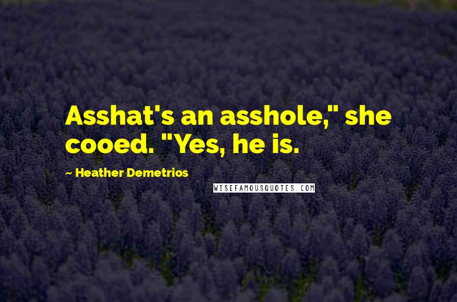 Heather Demetrios Quotes: Asshat's an asshole," she cooed. "Yes, he is.