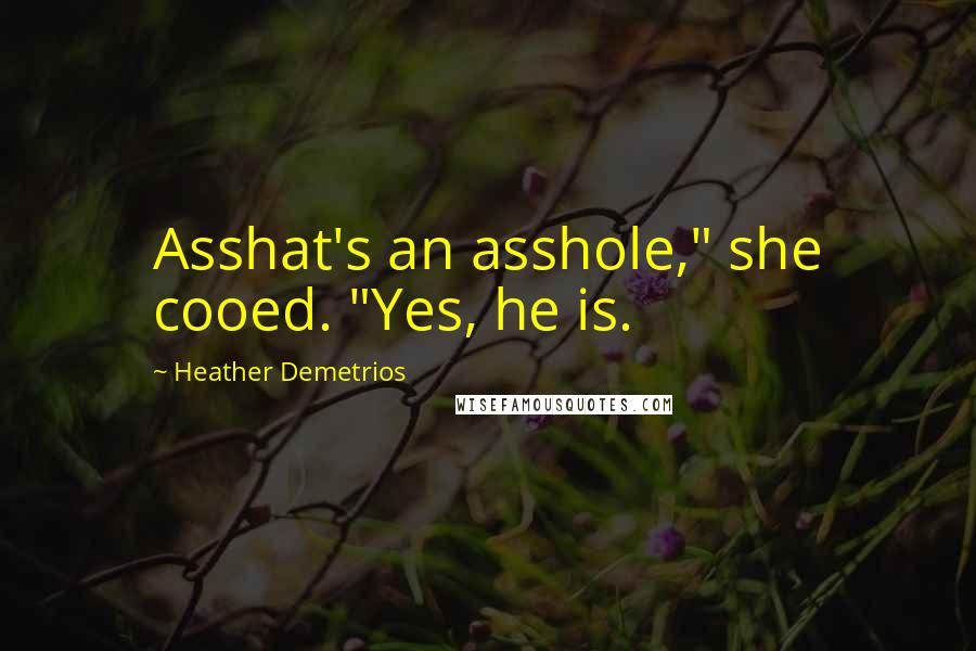 Heather Demetrios Quotes: Asshat's an asshole," she cooed. "Yes, he is.