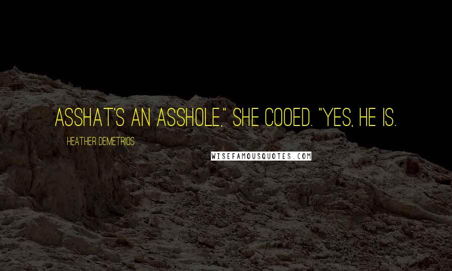 Heather Demetrios Quotes: Asshat's an asshole," she cooed. "Yes, he is.