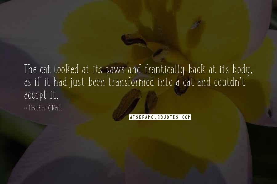 Heather O'Neill Quotes: The cat looked at its paws and frantically back at its body, as if it had just been transformed into a cat and couldn't accept it.