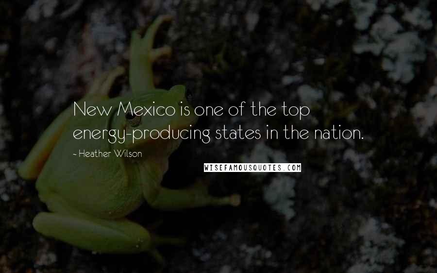 Heather Wilson Quotes: New Mexico is one of the top energy-producing states in the nation.