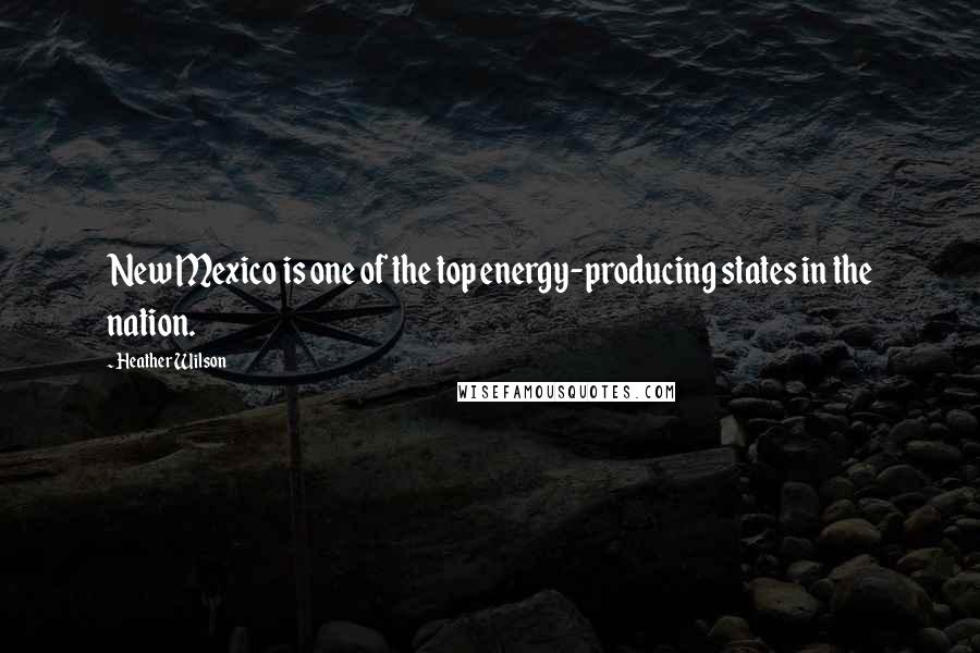 Heather Wilson Quotes: New Mexico is one of the top energy-producing states in the nation.