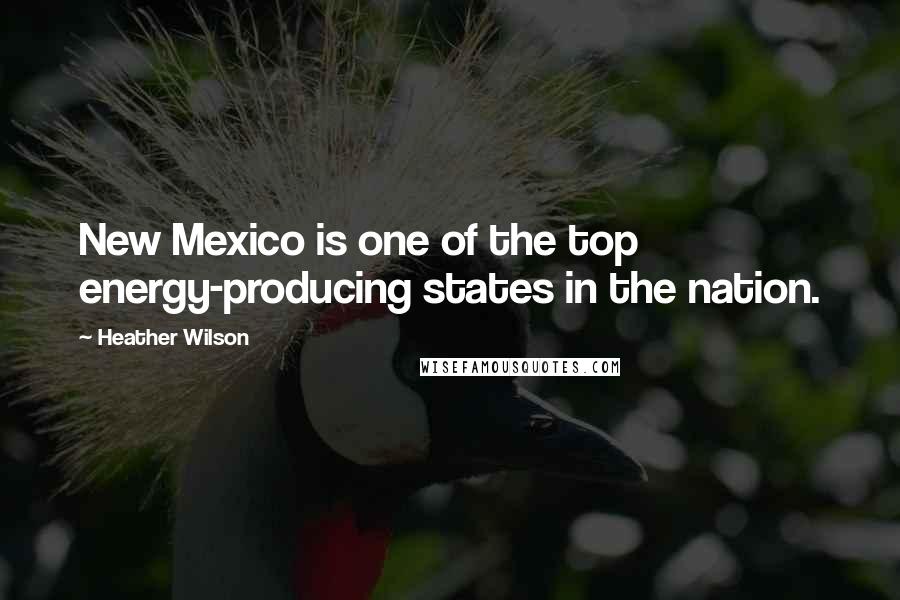 Heather Wilson Quotes: New Mexico is one of the top energy-producing states in the nation.