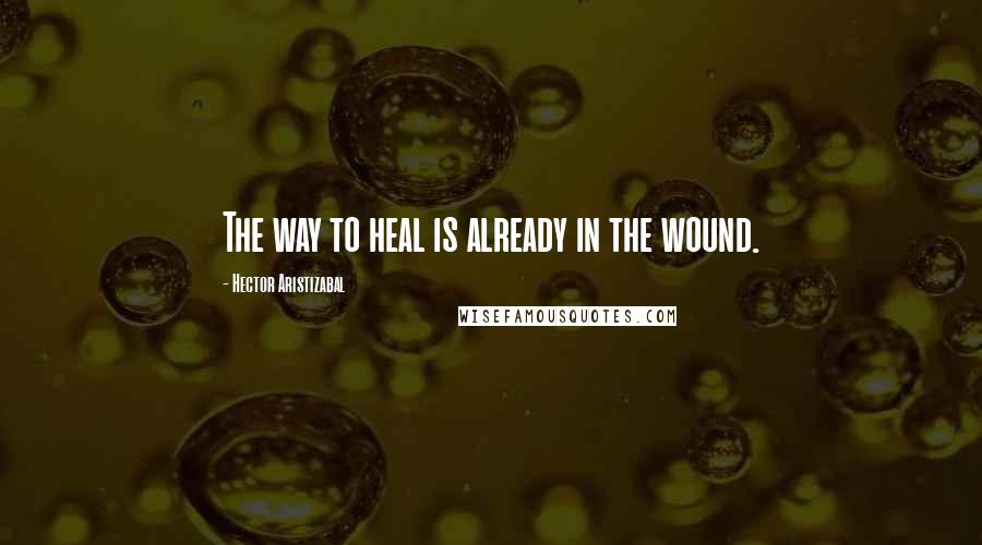 Hector Aristizabal Quotes: The way to heal is already in the wound.