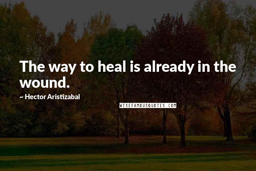 Hector Aristizabal Quotes: The way to heal is already in the wound.