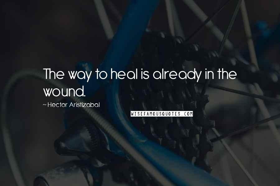 Hector Aristizabal Quotes: The way to heal is already in the wound.