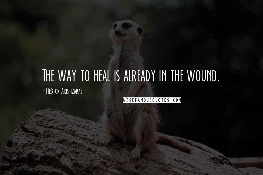 Hector Aristizabal Quotes: The way to heal is already in the wound.