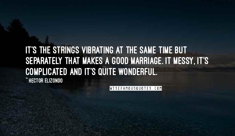 Hector Elizondo Quotes: It's the strings vibrating at the same time but separately that makes a good marriage. It messy, it's complicated and it's quite wonderful.