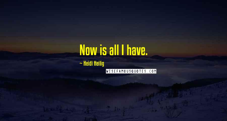 Heidi Heilig Quotes: Now is all I have.