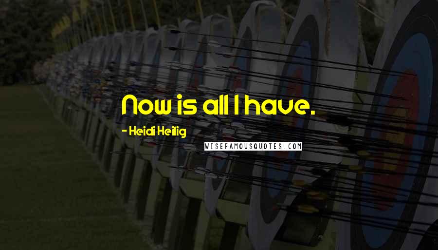 Heidi Heilig Quotes: Now is all I have.