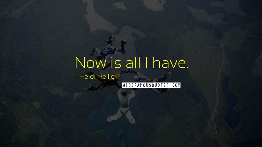 Heidi Heilig Quotes: Now is all I have.