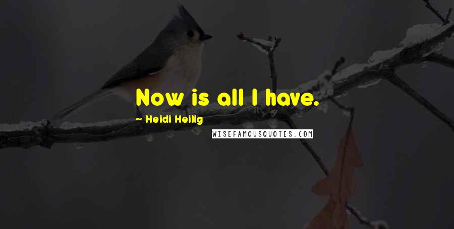Heidi Heilig Quotes: Now is all I have.