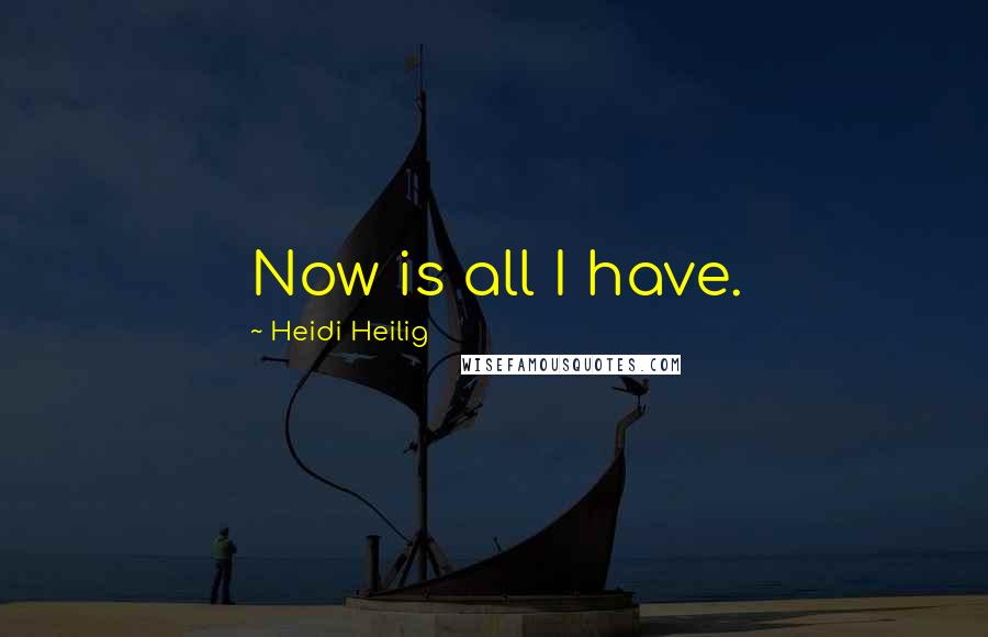 Heidi Heilig Quotes: Now is all I have.