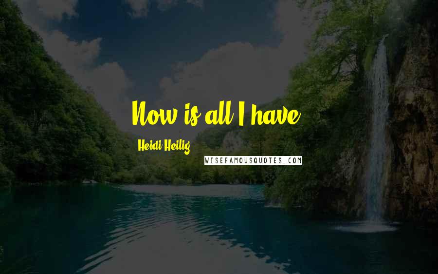 Heidi Heilig Quotes: Now is all I have.