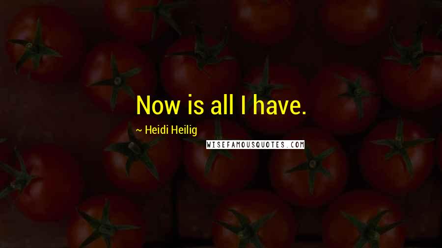Heidi Heilig Quotes: Now is all I have.