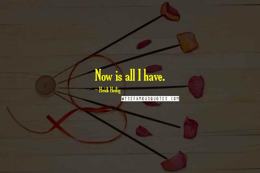 Heidi Heilig Quotes: Now is all I have.
