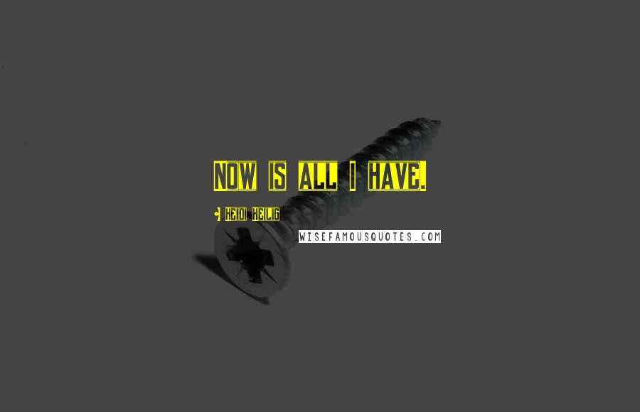 Heidi Heilig Quotes: Now is all I have.
