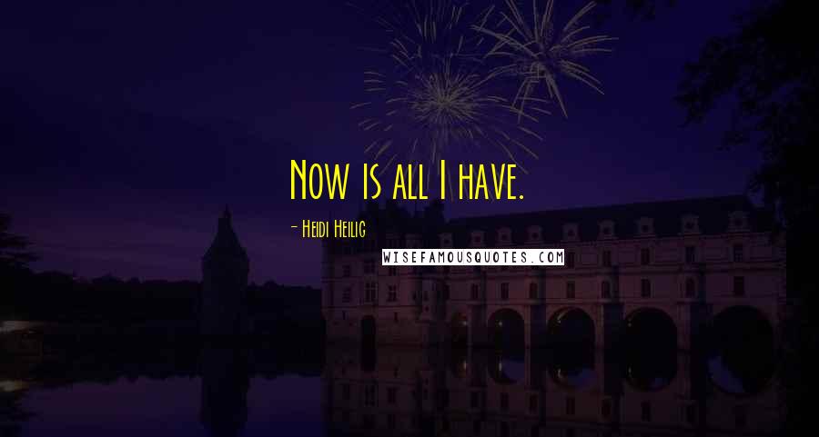 Heidi Heilig Quotes: Now is all I have.