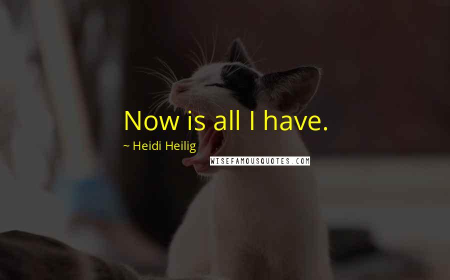 Heidi Heilig Quotes: Now is all I have.