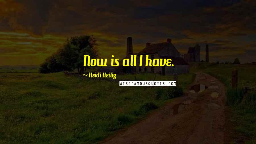 Heidi Heilig Quotes: Now is all I have.