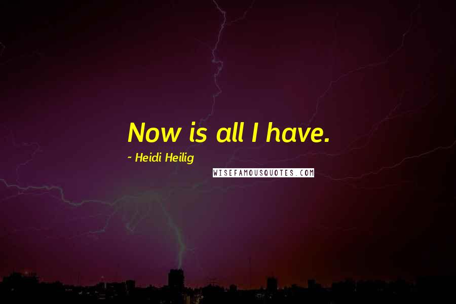 Heidi Heilig Quotes: Now is all I have.