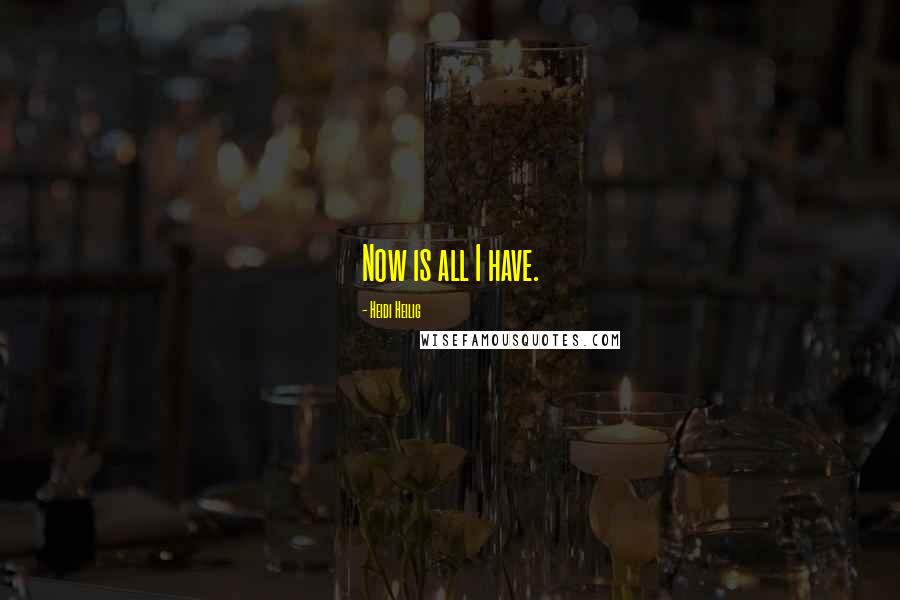Heidi Heilig Quotes: Now is all I have.