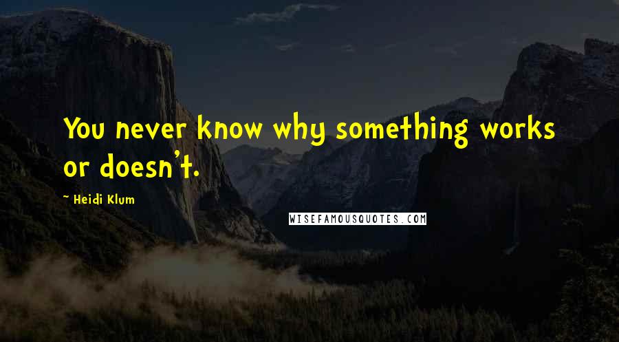 Heidi Klum Quotes: You never know why something works or doesn't.