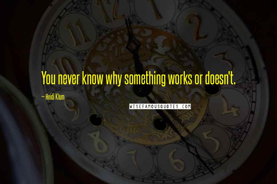 Heidi Klum Quotes: You never know why something works or doesn't.