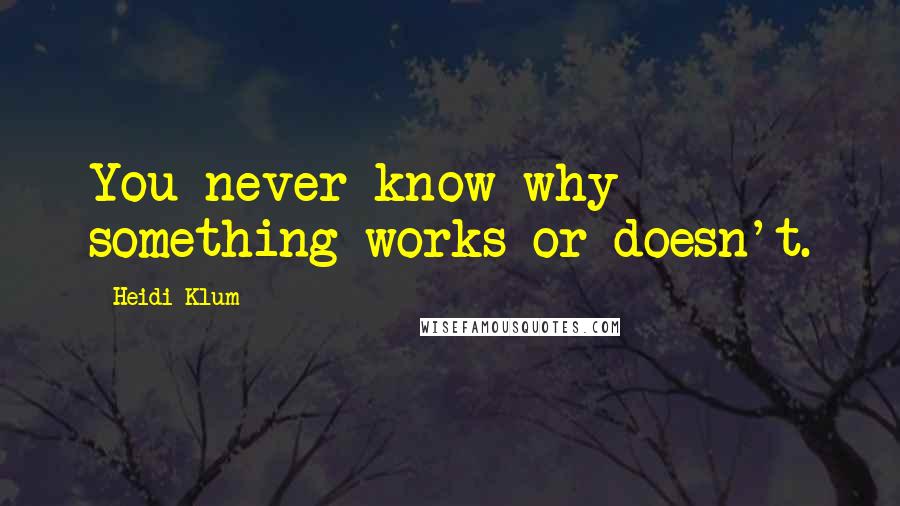 Heidi Klum Quotes: You never know why something works or doesn't.