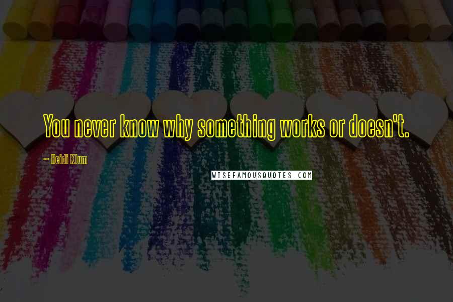 Heidi Klum Quotes: You never know why something works or doesn't.