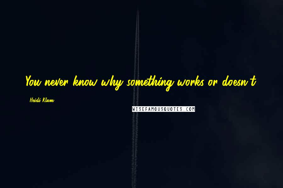 Heidi Klum Quotes: You never know why something works or doesn't.