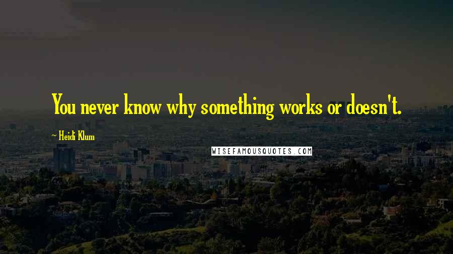 Heidi Klum Quotes: You never know why something works or doesn't.