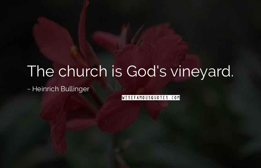 Heinrich Bullinger Quotes: The church is God's vineyard.